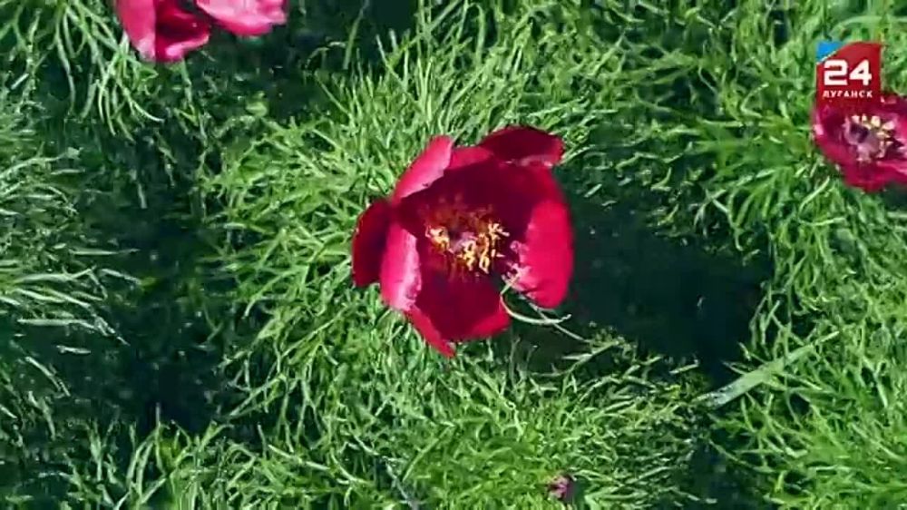 ������ ������� � ������������� ����� ���������� ���������� ����������� - ������� �� ��� ����������� � �������� ������ ������� ������������� ����� ������������