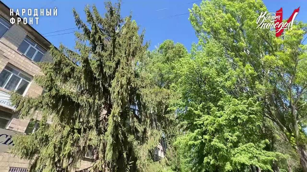 ������� ���������� �������� ���� �������� ������������� ���� �������