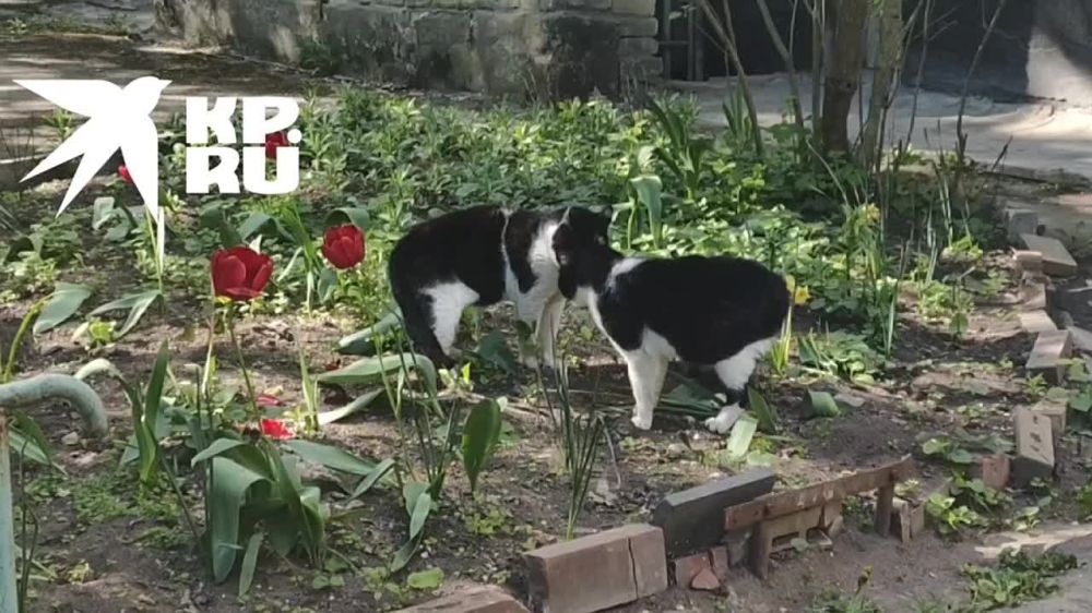 ���� ������������. � ��� � ��� �������� ������ ������� ������? �������� �� ����� ��� ������� � ��������