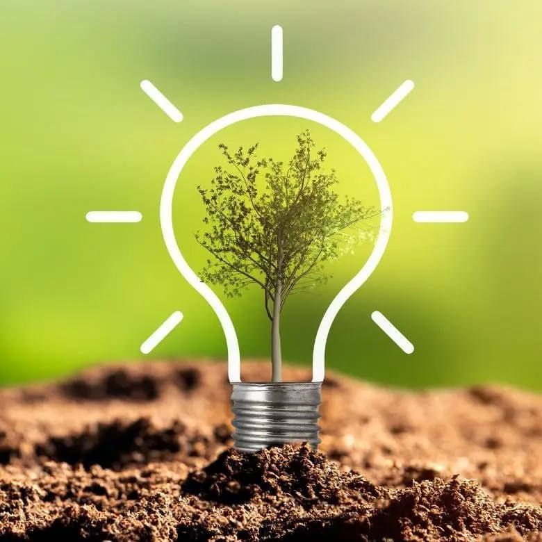 ������������� ������ ������� ����� �������� � �������� 24 ������