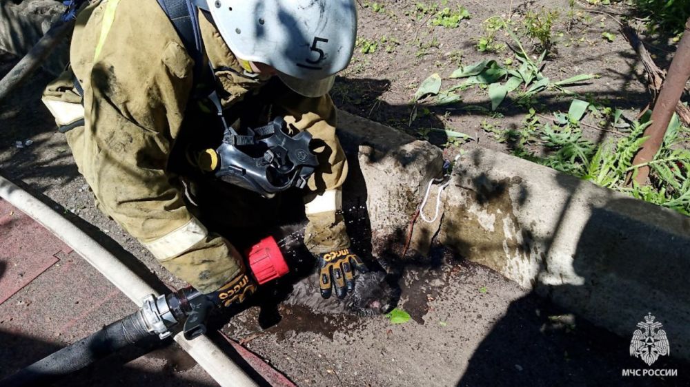 �������� ��� ������ ������� ������������ ��������