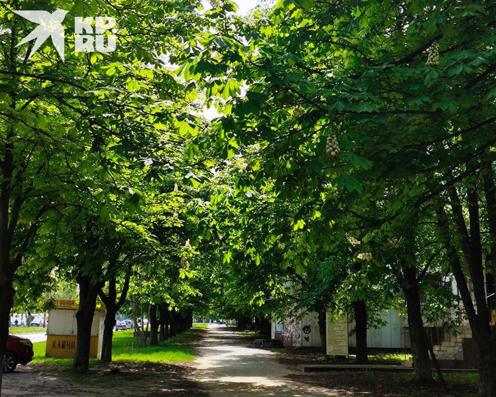 � ��� ��������� ����� � ������ 23 ������