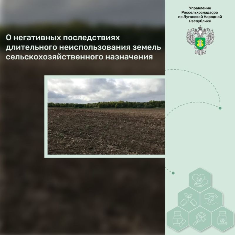 � ���������� ������������ ����������� ��������������� ������ ��������������������� ����������