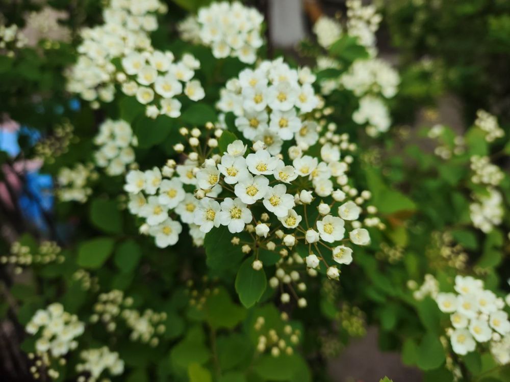 �����. �� ������ � � ����� ����� ���������, ������ � �������