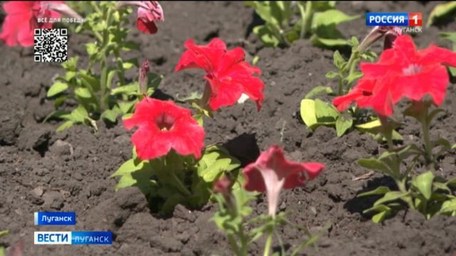 � ���� ���� � �������� �������� ������ ������� ����� ����� ��������