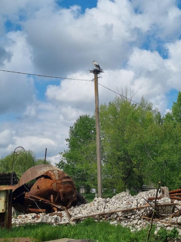 � ������� �������� ��������-���������� ������ �������� ������������� ������������ �����, �������� � ������������� ������������� �������