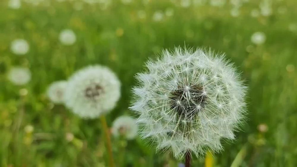 ���������� ��� ������ ��������