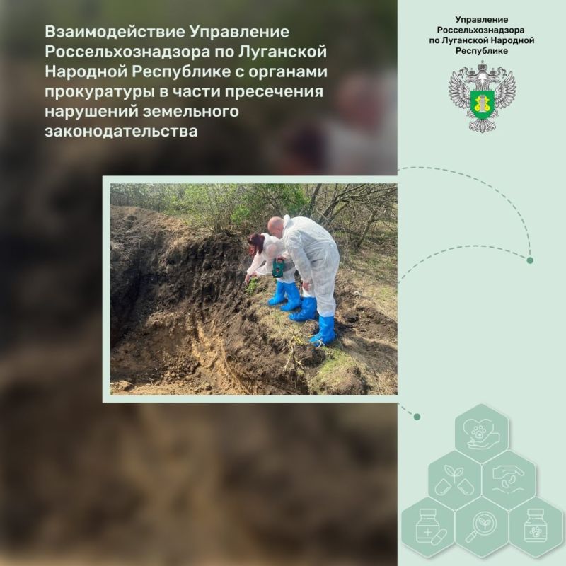 �������������� ���������� ����������������� �� ��������� �������� ���������� � �������� ����������� � ����� ���������� ��������� ���������� ����������������