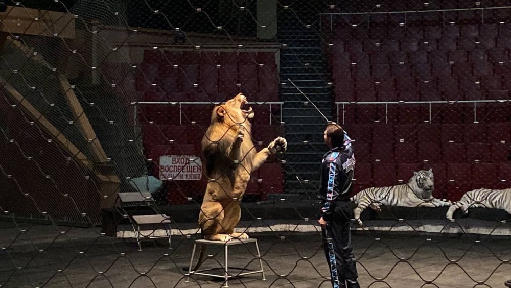 ��� ��������, ���������� �� ������� ������� �� �������� ��������� "�100���", ������� �������� 28 ������ ��� ������������ ��������� ������� �� ������� ���������, ��������� ���������� ���������������� �����