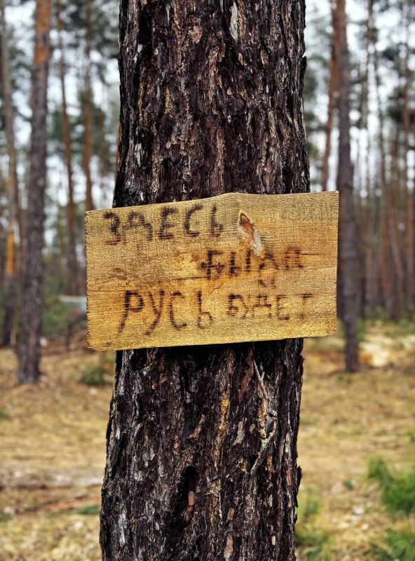 ���� �����. ������� ��� � ��������� ��������