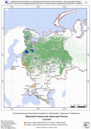 �������� ���������� �� ����������� ���������� ������ �� 12-19 ������ 2024 �.