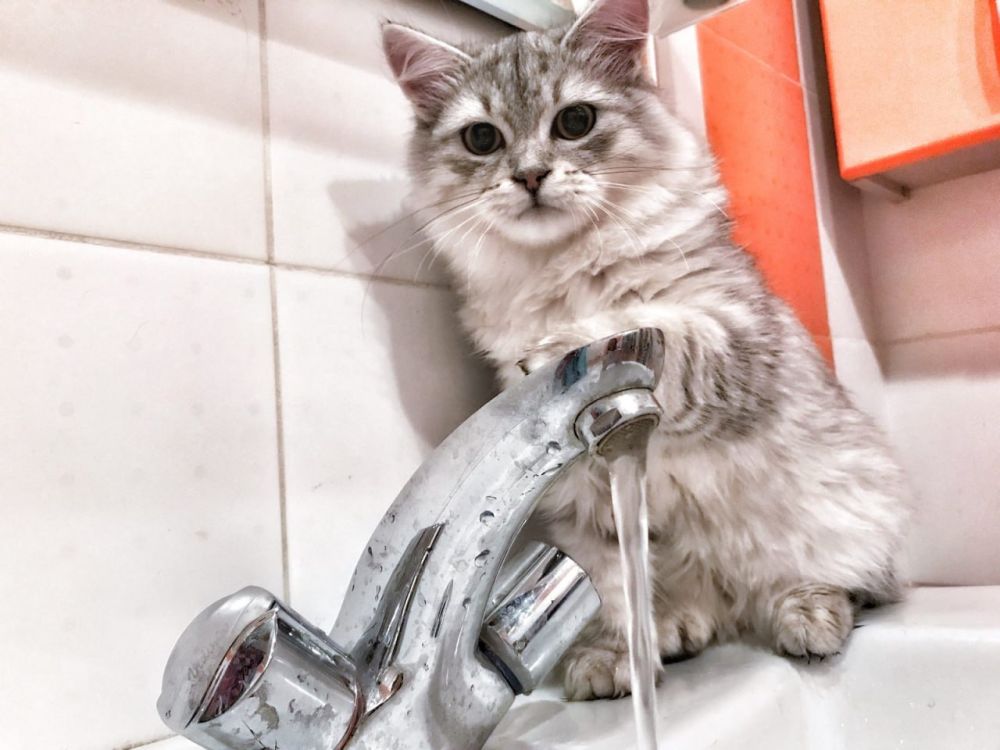 � �������� ������� ��������!