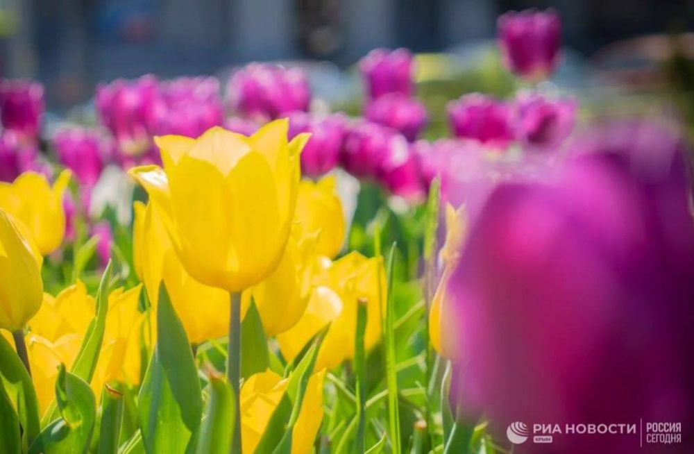 ������ �� ����� ����������� ������