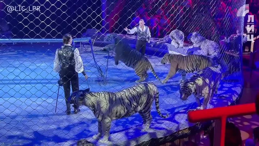 �� ���� �������� � �����, ������ � �������� �� �������� � 6 ���� - � ��� ����������! �������� ��������� ��100��߻ � ��������� ��������������� �����