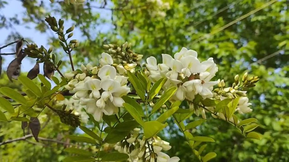 ������� ������. ������������ �� @kp_lnr