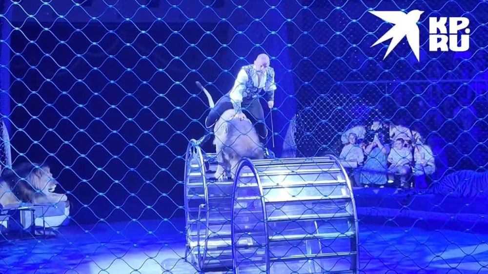 ����� ����� ������� ��������