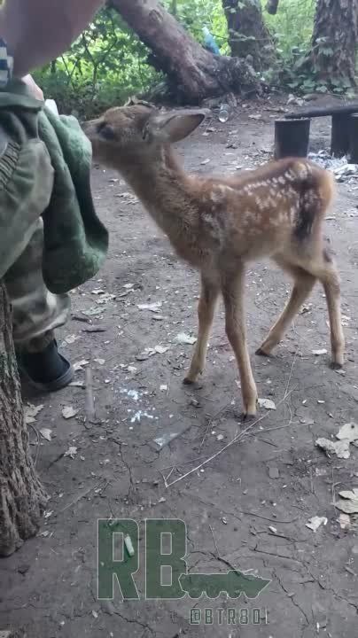 �� ����� �������� ��� : � ���� � ��������