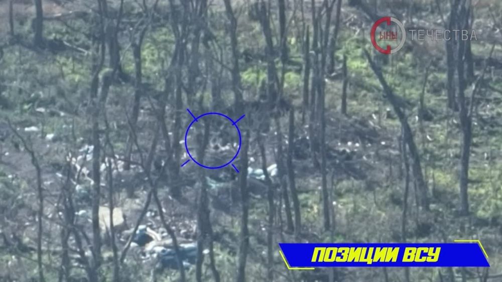 ��������� ������������ ���������� ���������� ������� � ������ ��������