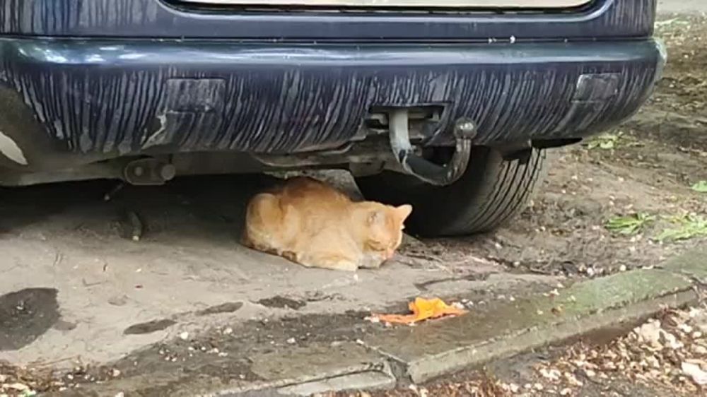 ����� ����������, ���� ������ ���������� �� ������