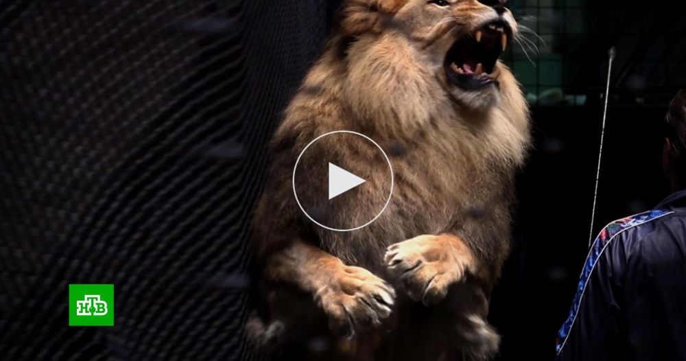 �������� �������� ����� �������� ��������� � ��������