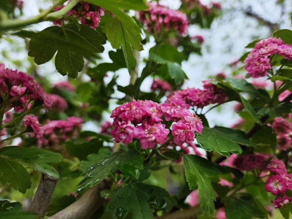 � ����� ����� ������� ������� ������ ������� ���������� ���������� ����-�������� �����