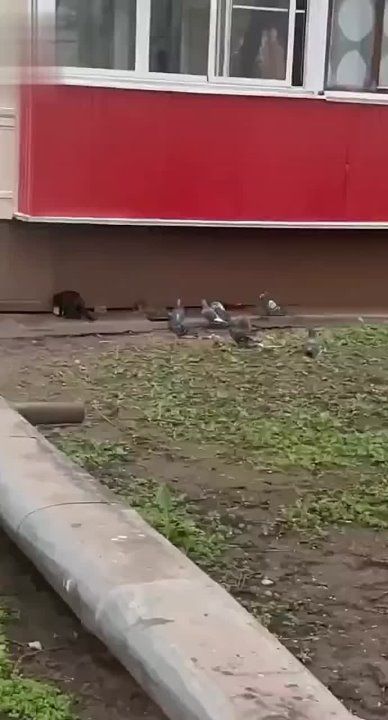 "������, ������� ���� ������!"