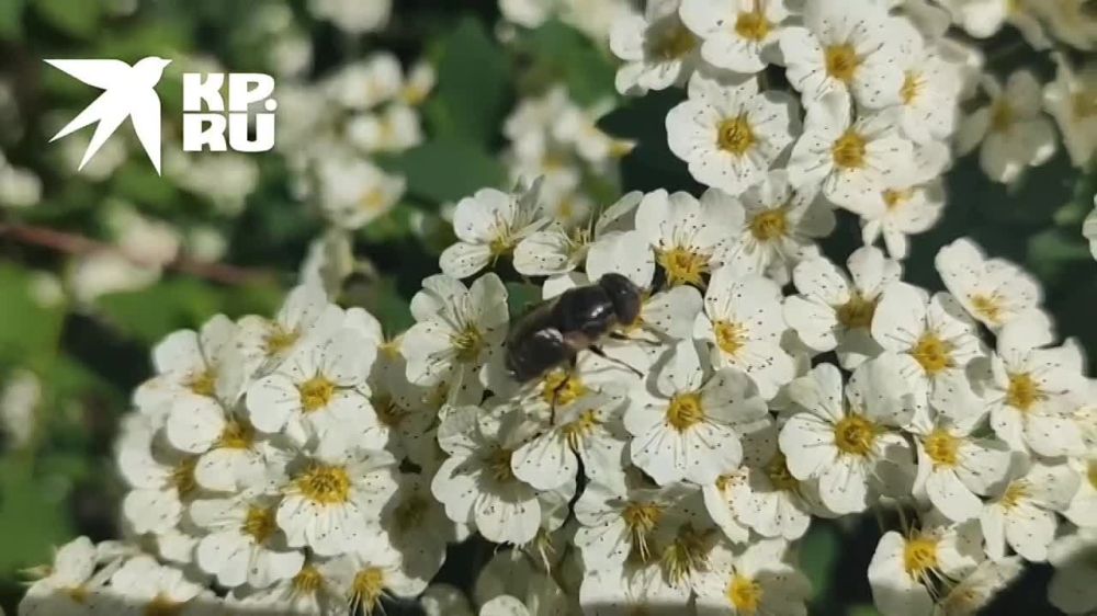 �������. ������������ �� @kp_lnr