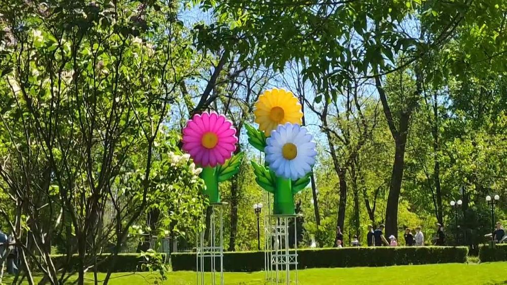 ����������� ���� � �����