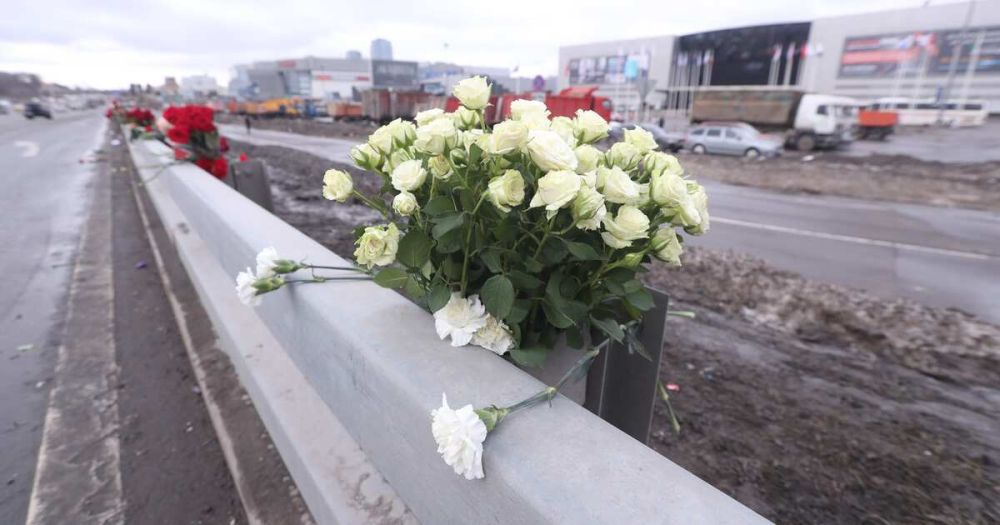 Пасечник увидел общее между терактом в "Крокусе" и трагедией в Одессе