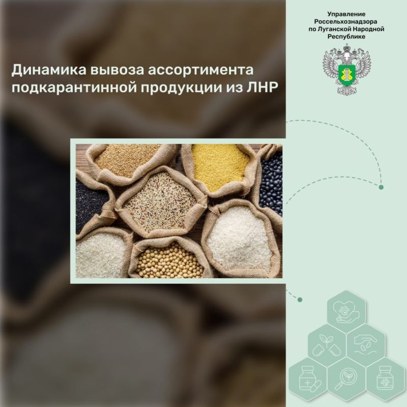 �������� ������ ������������ �������������� ��������� �� ���