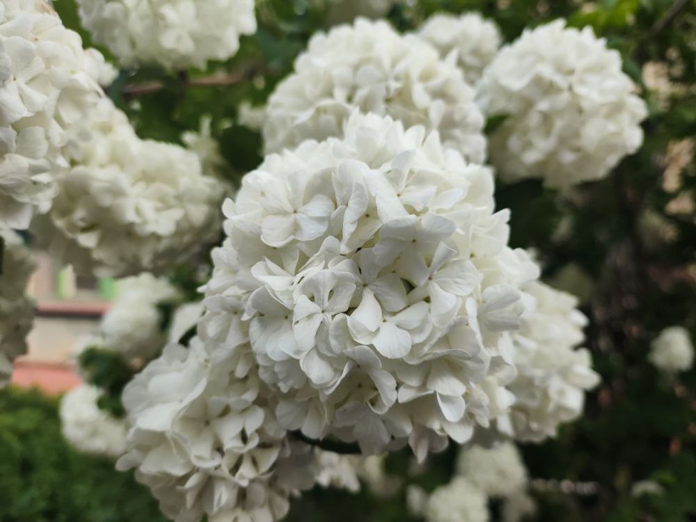 � �������� ������� ������ ���������