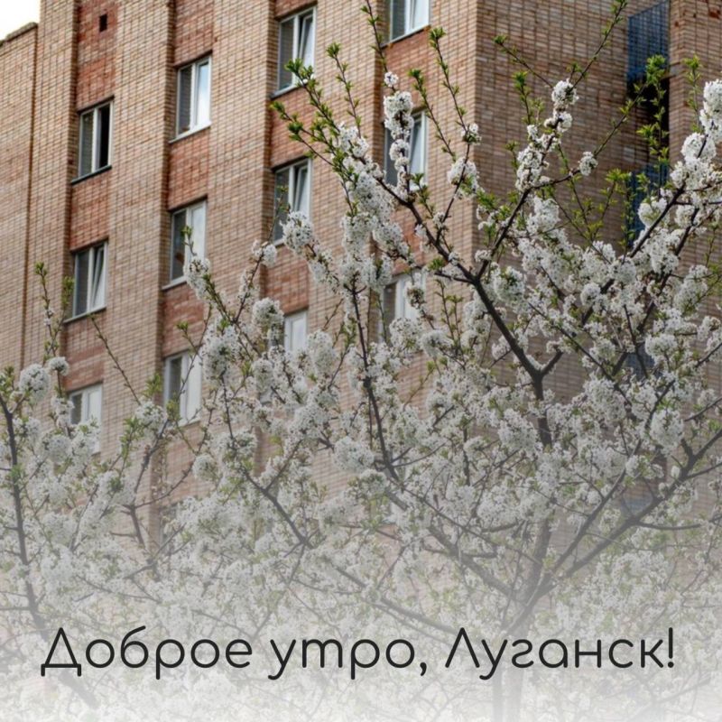 ������ ����, �������!. 3 ��� �� ���������� ���������� ������� � ������������, ��� �������