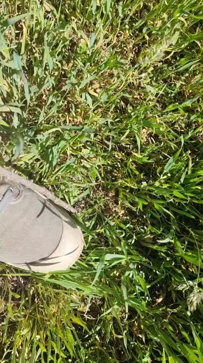 ����������, ����!. ������� ������� �������� � �� ��������� ����� �� ������� � ��� ���. � ��� ��� ��������� ����� � ����