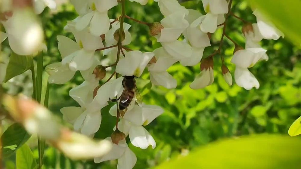 ����� ������. �������� ������ �������������� � �������� ���� ����� ������