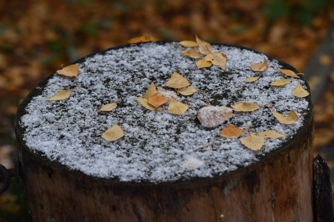 � ��� � ����������� 5 ��� � ������ ����� ��������� ��������� �� -5 ��������