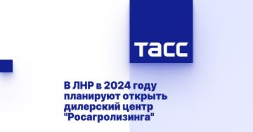    2024      ""