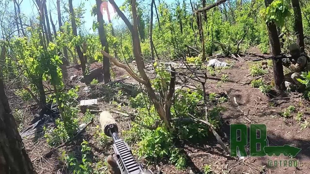 ������ ����� ����� ������