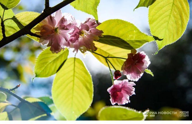 ������ �� ����� ����������� ������