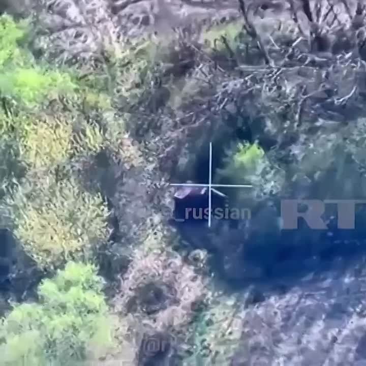 ����������� ������� �������� ��� ������ �����