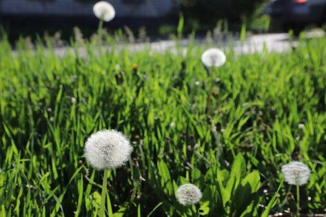 ��������� ������������ 7 ��� � ��� �� 7 �� 26 �������� �����, ������� �����