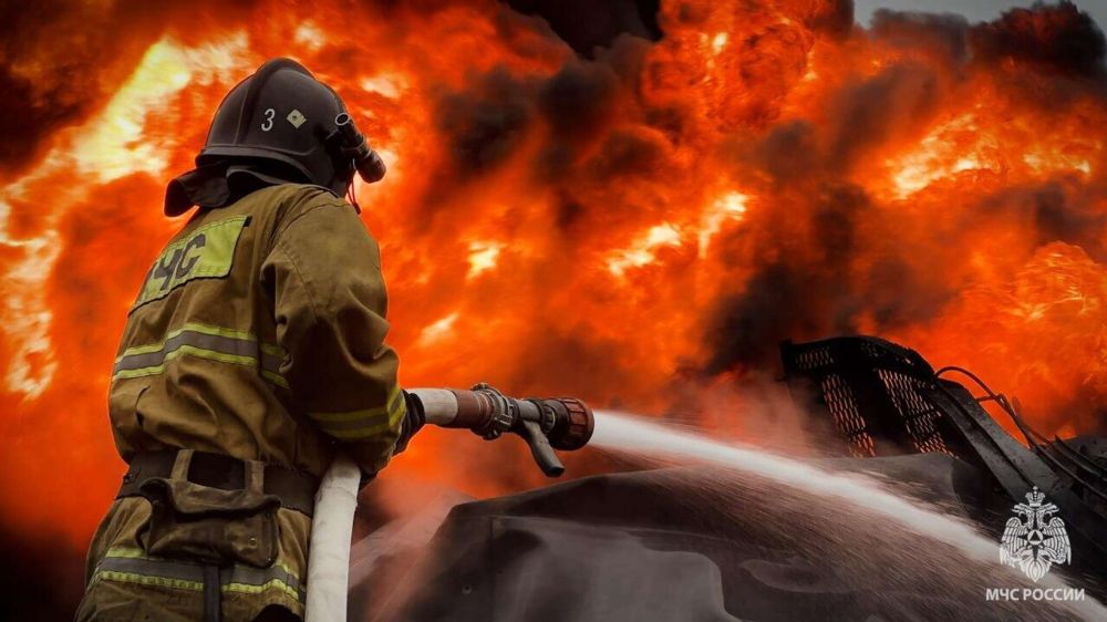 ����� ������� � ��������� �������� ���������� ����������� - ���������