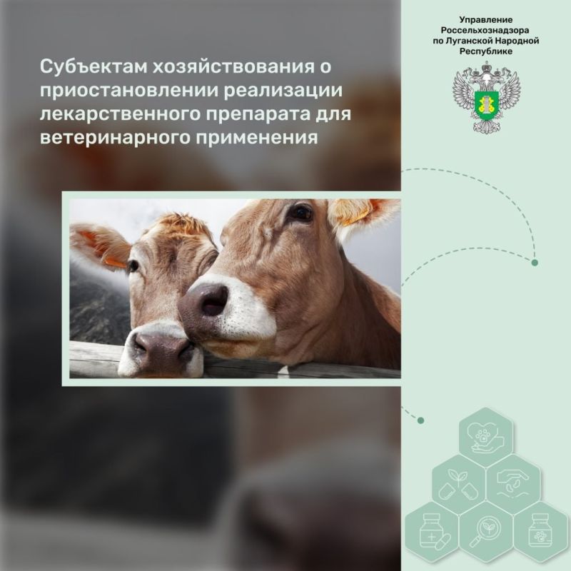 ��������� �������������� � ��������������� ���������� �������������� ��������� ��� ������������� ����������