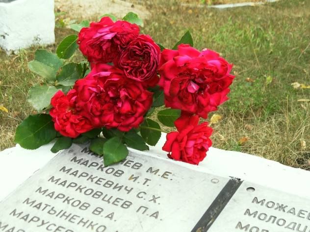 ������������ ����-�������