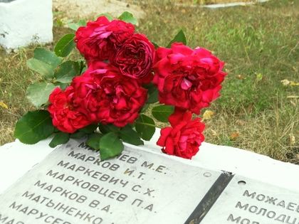 ���������� ��������� ������: "� ����� ������ ����-���������� ������ 71 ��� ����� ��� ������"