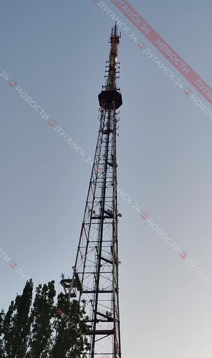 9 ��� � ������ ����� ������ ������� ��������� �������� �������� ����������� ������������