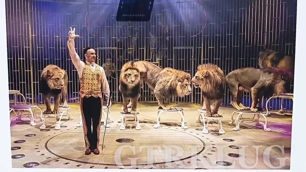 ����� ���������� ����� ���������� �������� ��� �������� �����, ����������� 105 ��� �������� ����������� �����