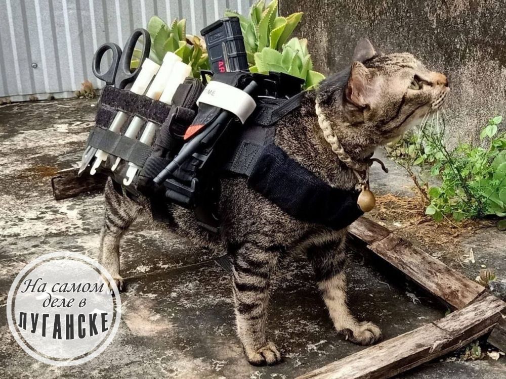 ������ ��������. ����������� �������� ��� ������� ������ ��� �������� ���, �������� �� ��������� ���� "�������" � ����������������