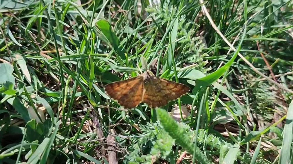 ���. ������������ �� @kp_lnr