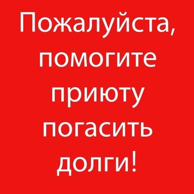 ,    ,     2014       ,                   !!