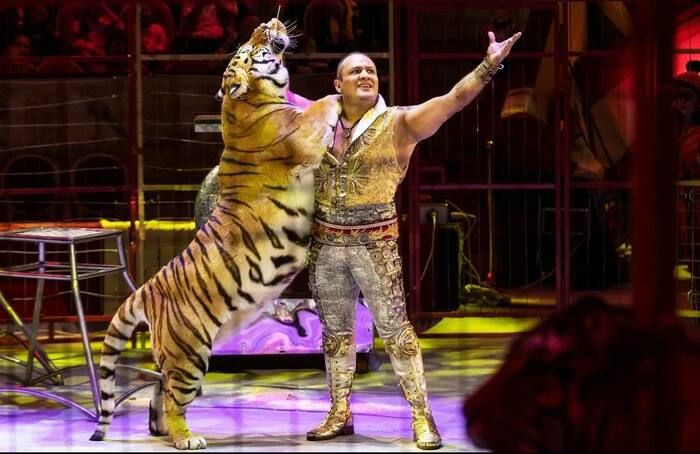 ����� ����� ������������� ��������� "�������" �� ����������� �������� � ��������� ��������������� ����� ��� � 8 ����